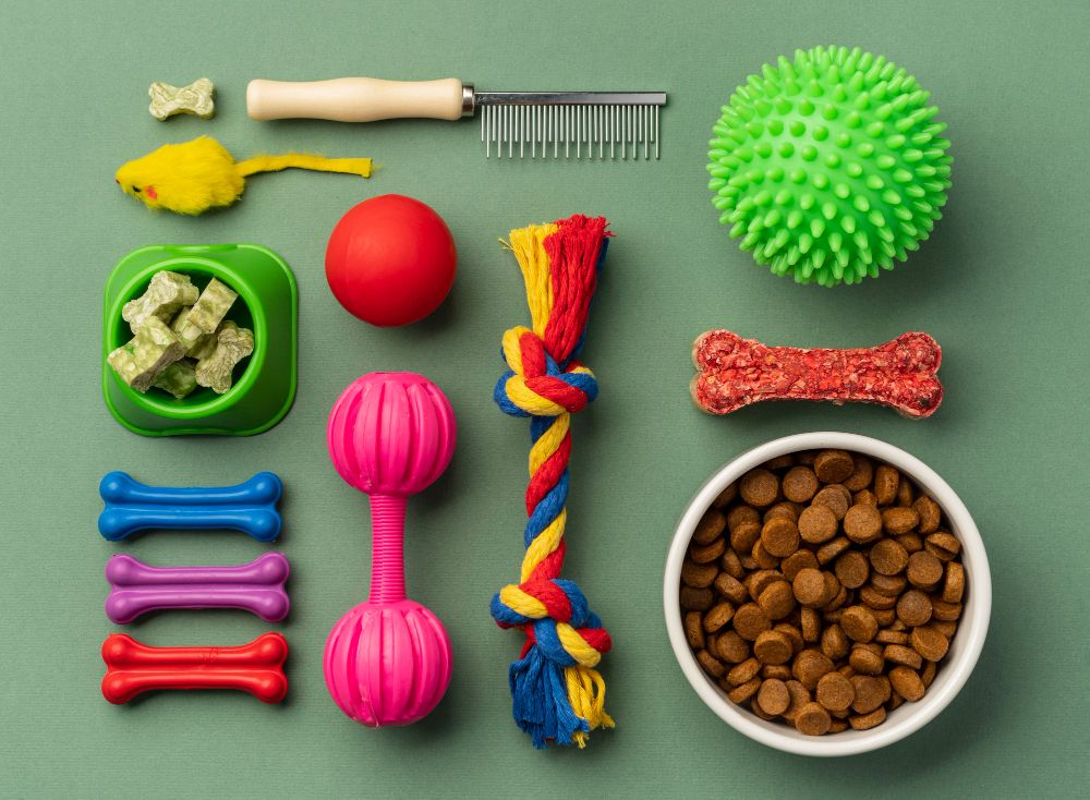 pet-accessories-still-life-concept-set (1)